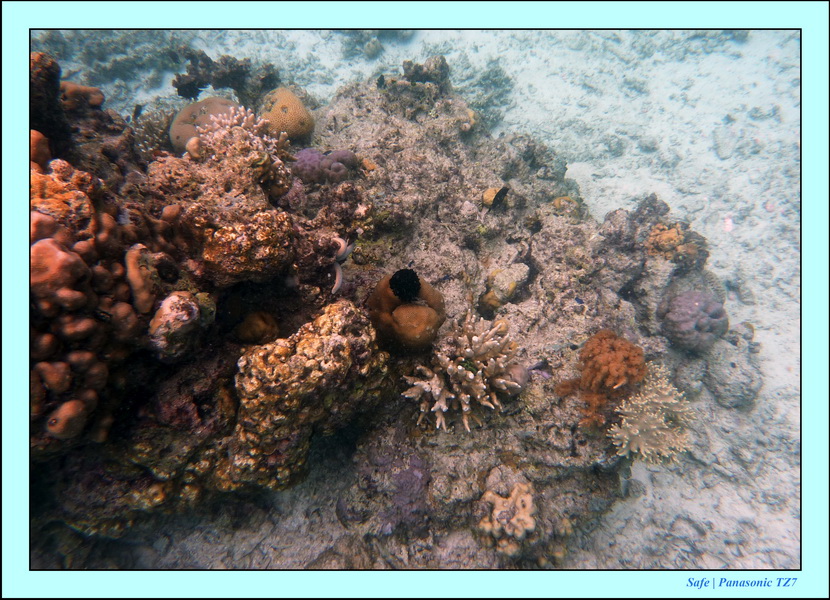 2009   07   Matakin 60